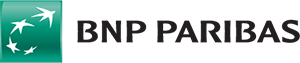 Ikona Bnp